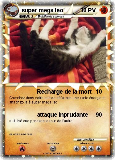 Pokemon super mega leo