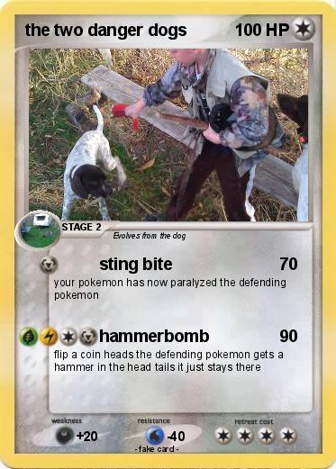 Pokemon the two danger dogs