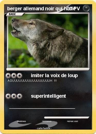 Pokemon berger allemand noir qui hurle