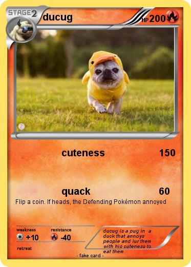 Pokemon ducug