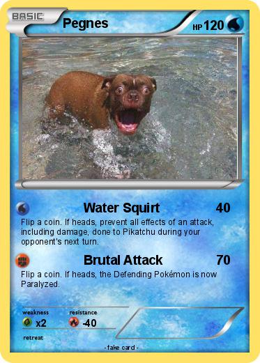 Pokemon Pegnes