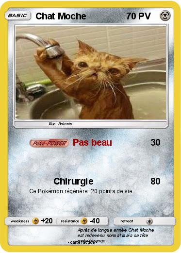 Pokemon Chat Moche