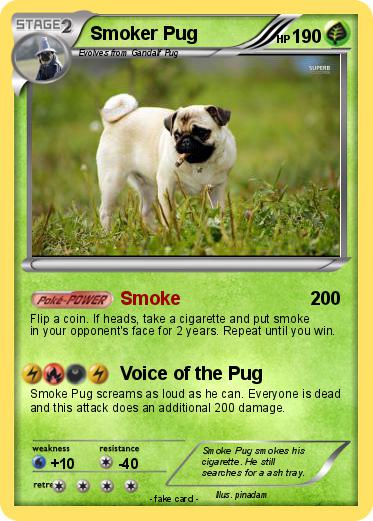 Pokemon Smoker Pug