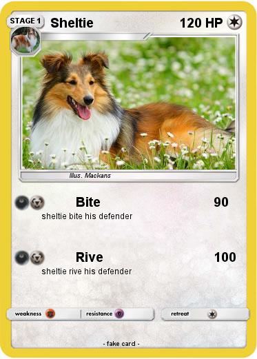 Pokemon Sheltie
