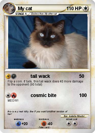 Pokemon My cat