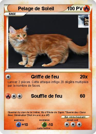 Pokemon Pelage de Soleil