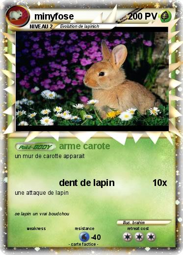 Pokemon minyfose