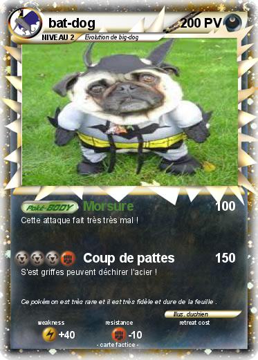 Pokemon bat-dog