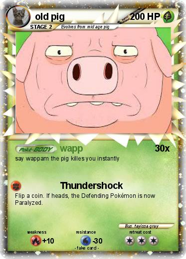 Pokemon old pig