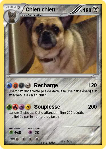 Pokemon Chien chien