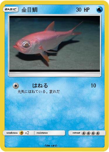 Pokemon 金目鯛