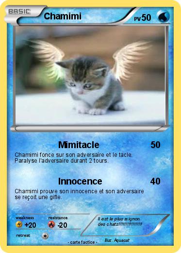 Pokemon Chamimi
