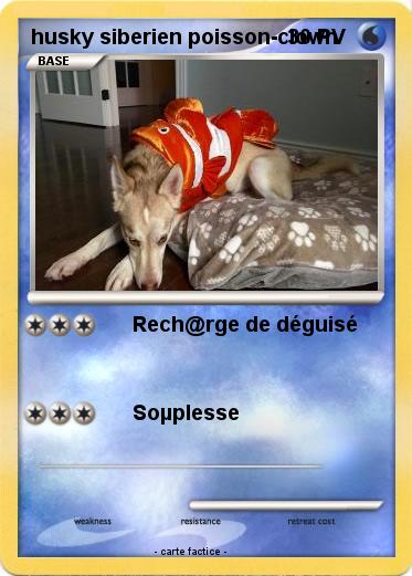 Pokemon husky siberien poisson-clown