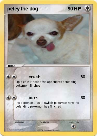 Pokemon petey the dog
