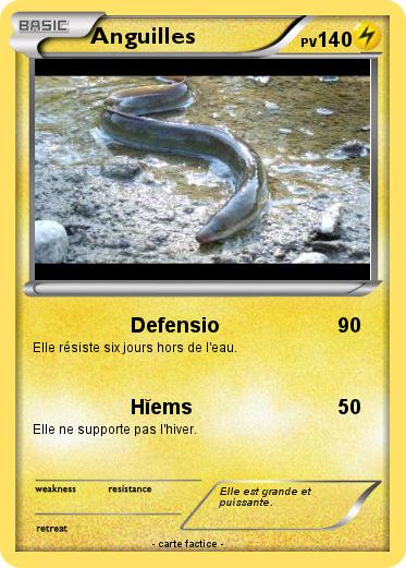 Pokemon Anguilles