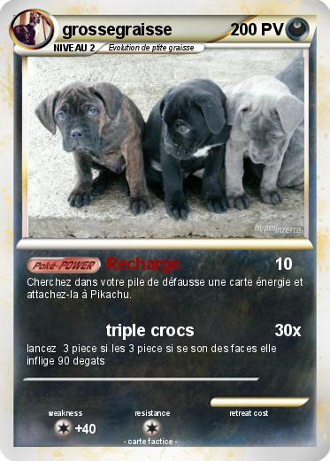Pokemon grossegraisse