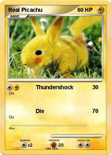 Pokemon Real Picachu