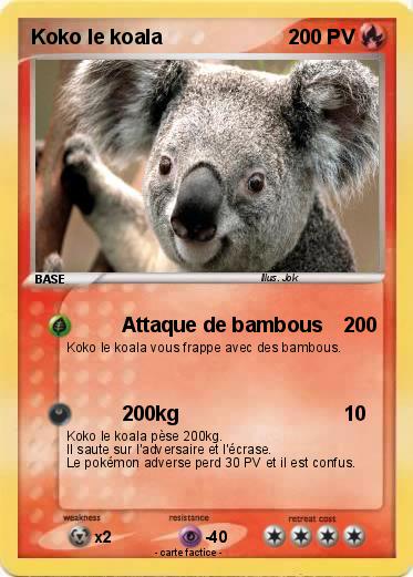 Pokemon Koko le koala