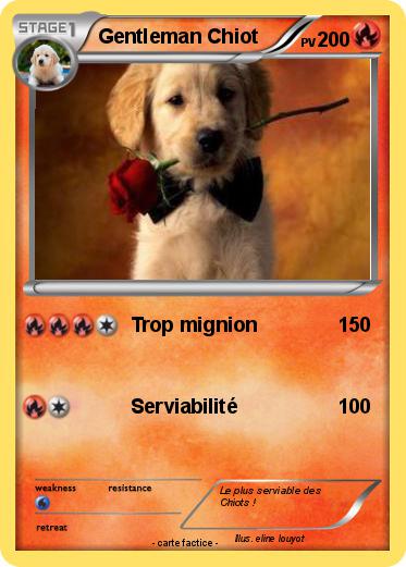 Pokemon Gentleman Chiot