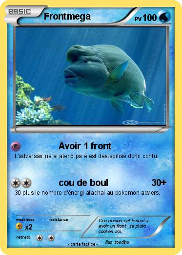 Pokemon Frontmega