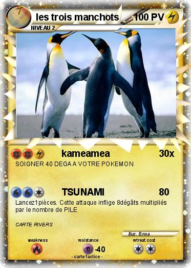 Pokemon les trois manchots