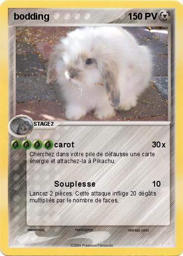 Pokemon bodding