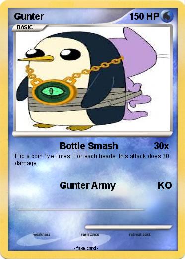 Pokemon Gunter