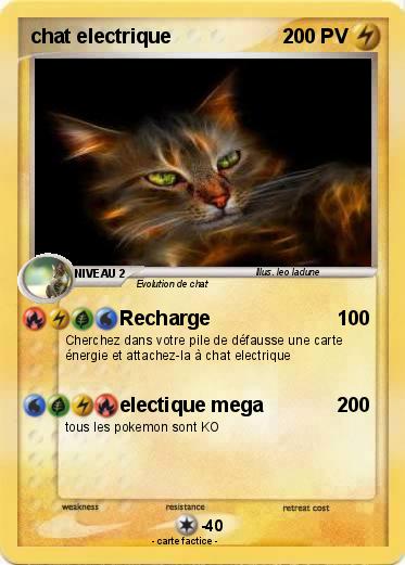 Pokemon chat electrique