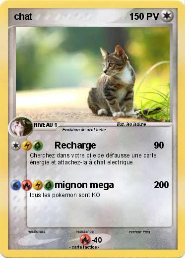 Pokemon chat