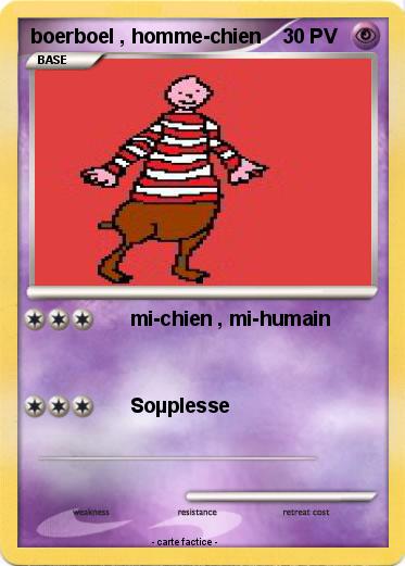 Pokemon boerboel , homme-chien