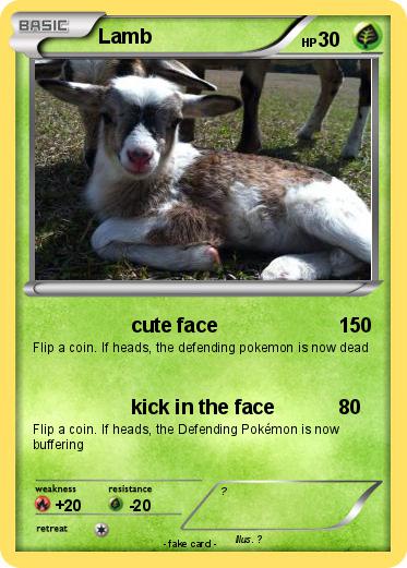 Pokemon Lamb