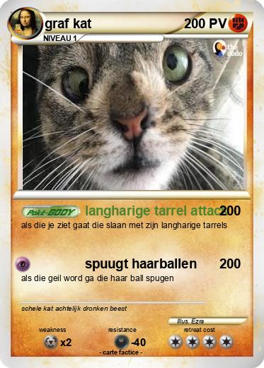Pokemon graf kat