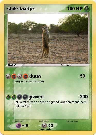 Pokemon stokstaartje