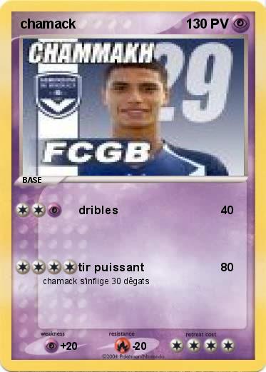 Pokemon chamack