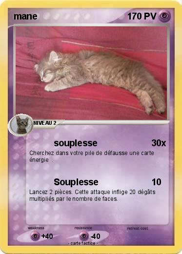 Pokemon mane