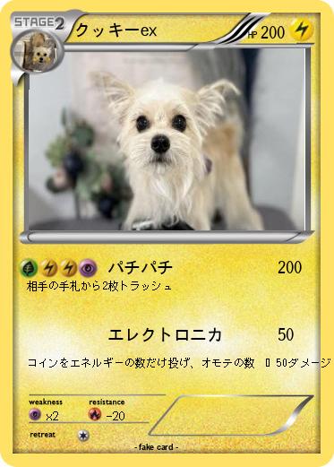 Pokemon クッキーex