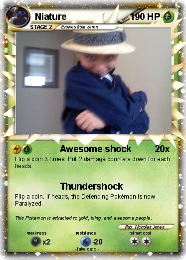 Pokemon Niature