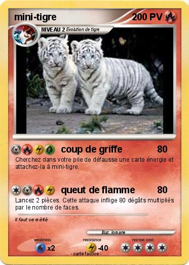 Pokemon mini-tigre