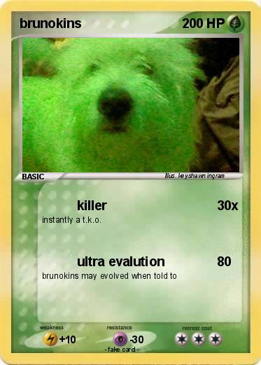 Pokemon brunokins