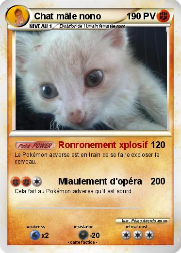 Pokemon Chat mâle nono