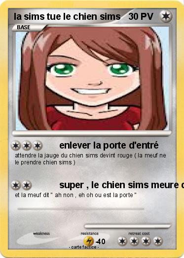 Pokemon la sims tue le chien sims