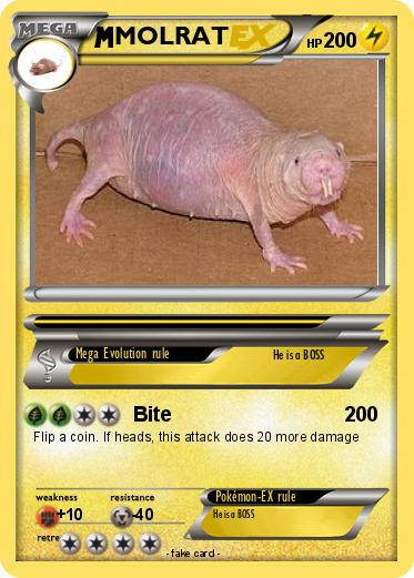 Pokemon MOLRAT