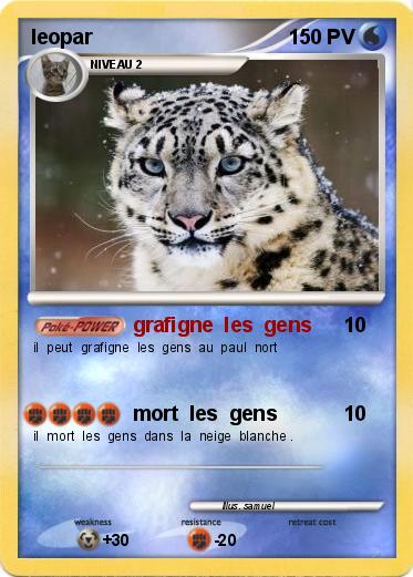 Pokemon leopar