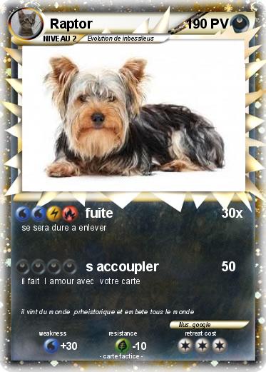 Pokemon Raptor
