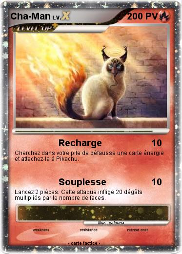Pokemon Cha-Man