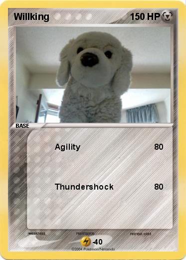 Pokemon Willking