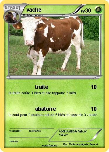 Pokemon vache