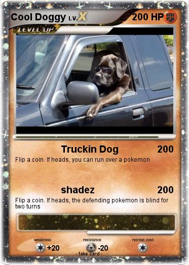 Pokemon Cool Doggy