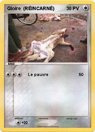 Pokemon Gloire
