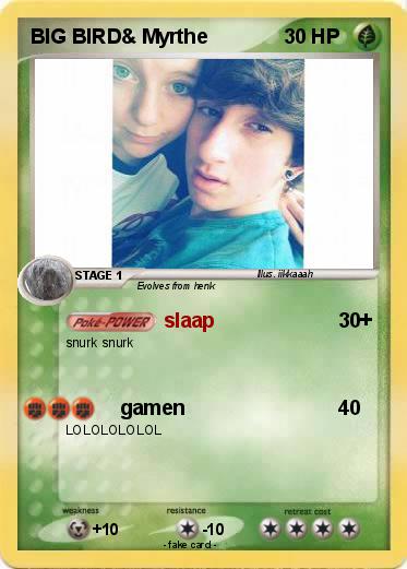 Pokemon BIG BIRD& Myrthe